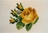 Gelbe Rose II,1 8x8cm